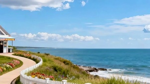 护眼蓝天白云树木海景带鱼屏