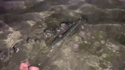 装一瓶晚霞送给你