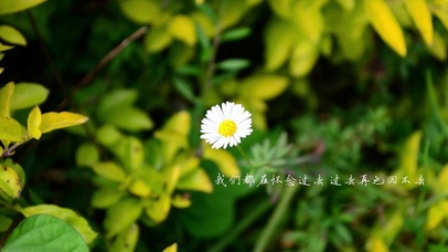 我们都在怀念过去 却再也回不去