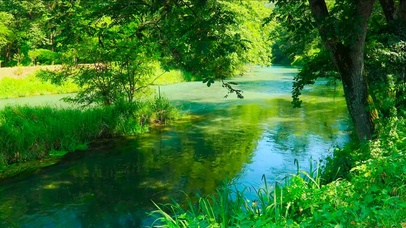 绿荫流水