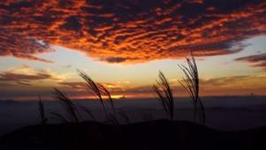山顶朝霞