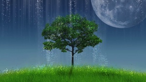 唯美夜空青草地