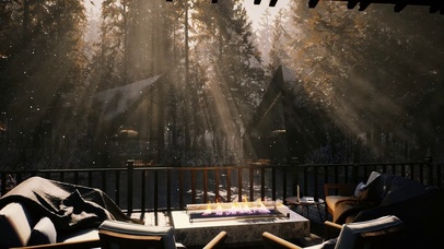 冬天的森林清晨