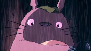 大龙猫