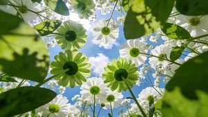 春暖花开