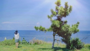 风和日丽