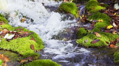 山涧流水