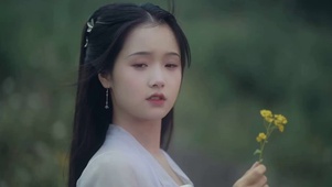 国风美人