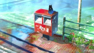 蹲在信箱上的猫咪