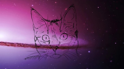 星空猫唯美星空壁纸图片 动态桌面壁纸图片 动态壁纸下载 元气壁纸