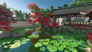 美丽的庭院