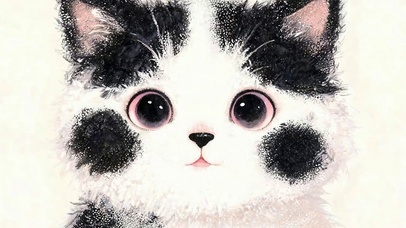 猫咪