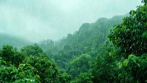 护眼雨天
