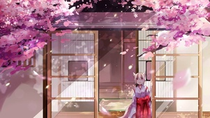 樱花树下狐妖