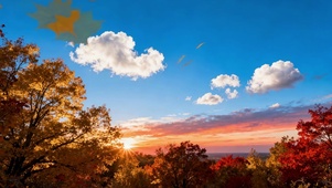 深秋黄昏夕阳落叶下的蓝天白云