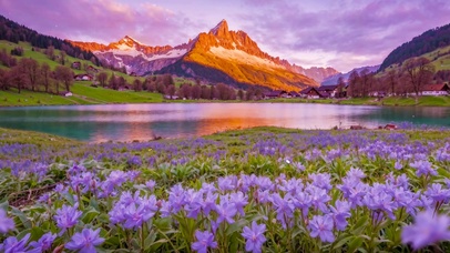 夕阳山峰湖畔小花 