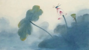 夏天荷叶蜻蜓