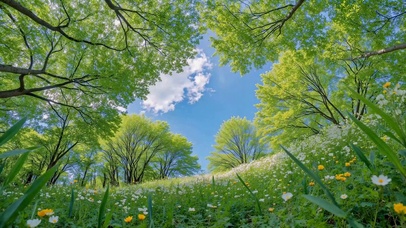 清新治愈林间草地风光