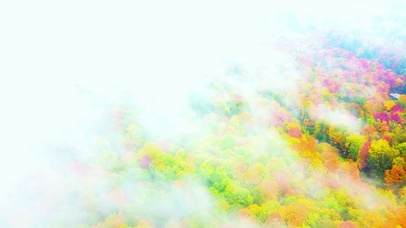 4K治愈人间仙境