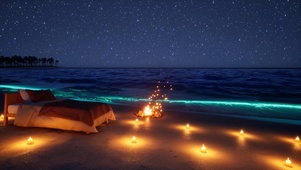 唯美夜晚星空海浪