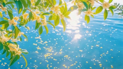 秋日治愈金桂