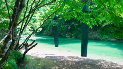 护眼绿树风铃流水