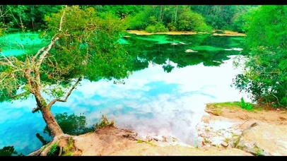 4K唯美清澈湖面