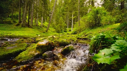 绿林山间河流