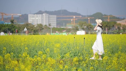 漫步油菜花田