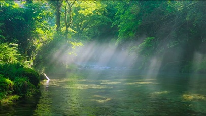 清晨阳光雾气流水