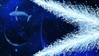 鲸游虚空万物生长