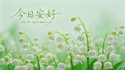 铃兰的祝福