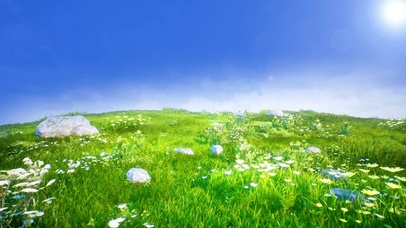阳光花海