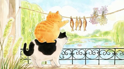 猫咪