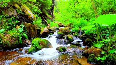 清凉护眼小溪 4K