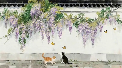 院墙下猫咪