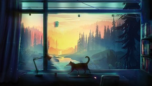 窗台小猫