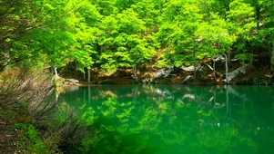 湖面