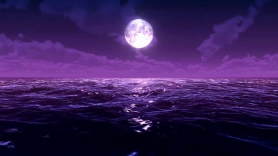 紫海