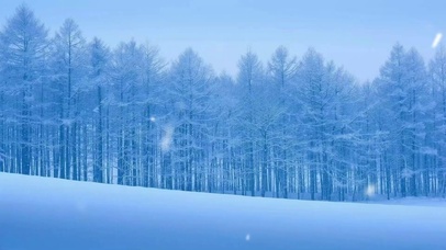 漫山遍野 白雪皑皑
