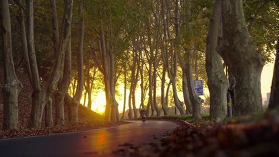 随后，便是你最爱的深秋