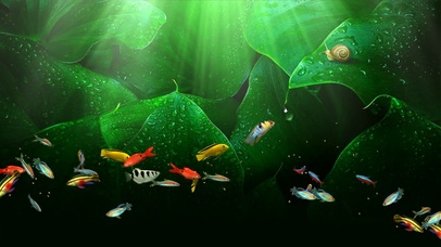 护眼绿色鱼群