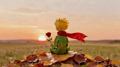 看夕阳的小王子