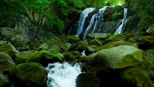 夏日清凉山间溪水