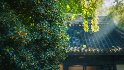 古院檐下桂花