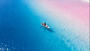 超治愈蓝粉相接浅海