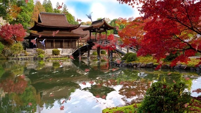 【4K实拍】京都的优雅古风庭院