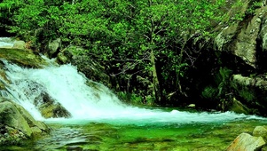 护眼治愈流水4K