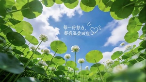 每份努力都有温柔回应