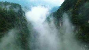 青山云雾